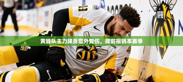 2025开云体育入口网址黄蜂队主力球员意外受伤，提前报销本赛季