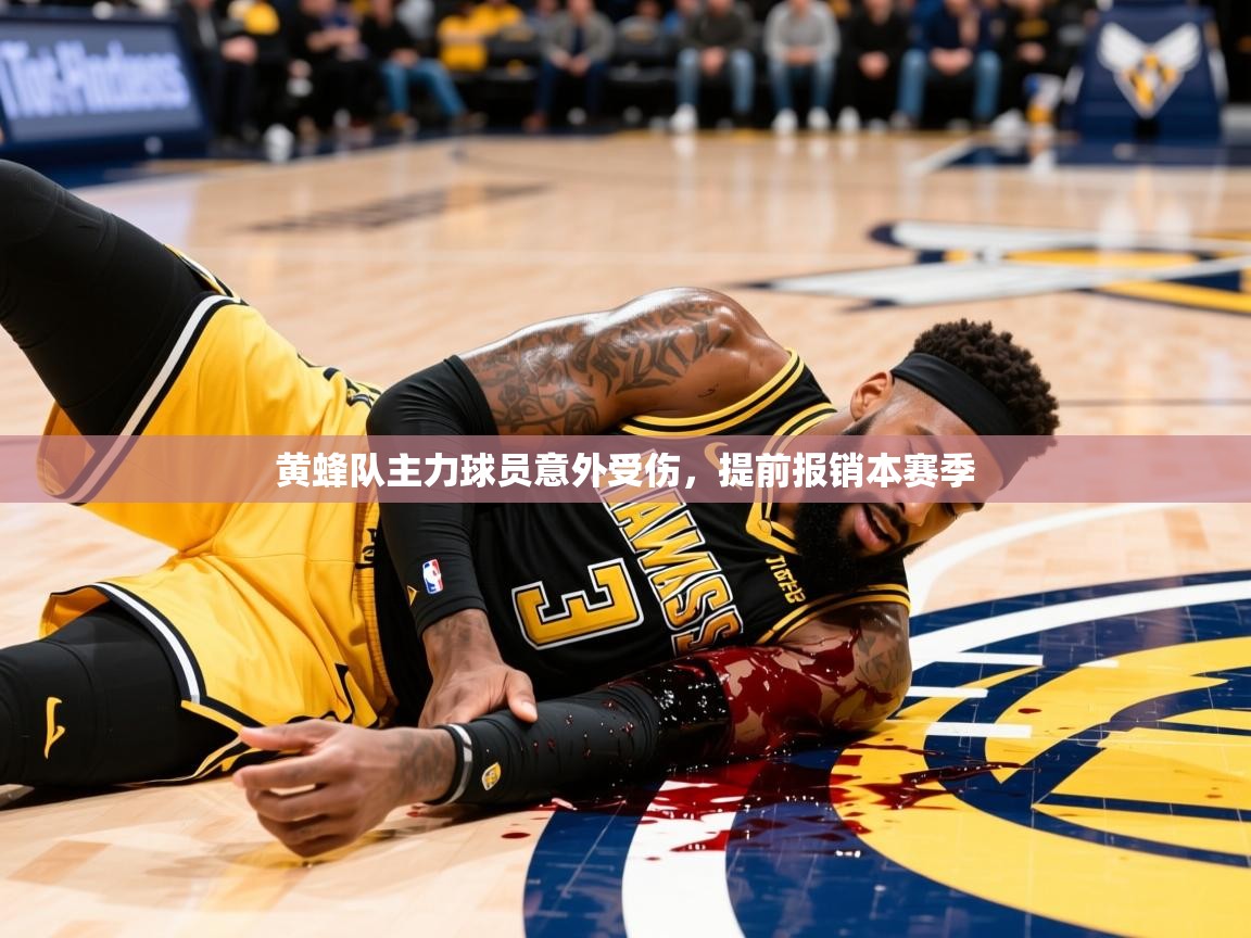 2025开云体育入口网址黄蜂队主力球员意外受伤，提前报销本赛季  第3张