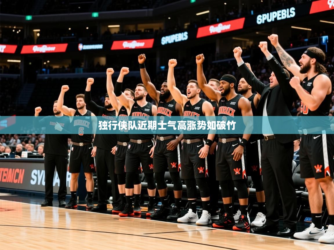 2025开云体育app投诉独行侠队近期士气高涨势如破竹  第2张