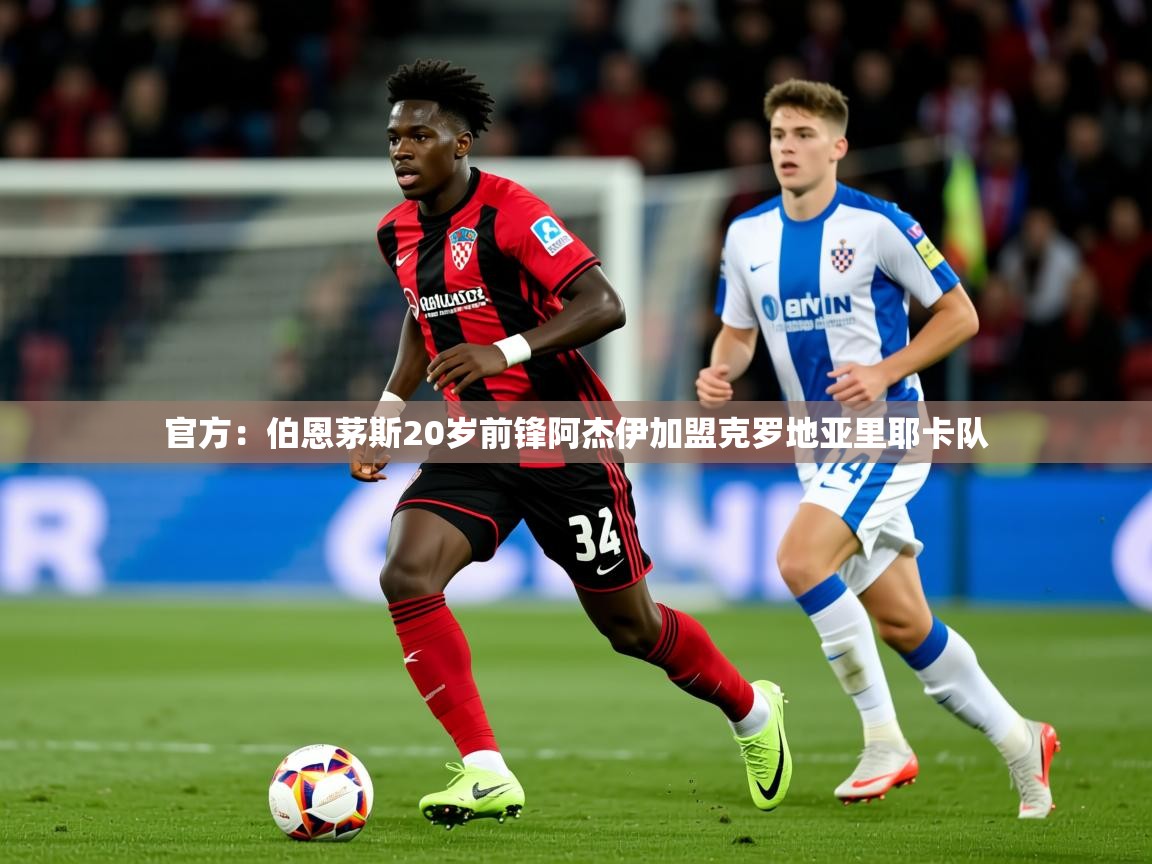 2025kaiyun体育入口官方:伯恩茅斯20岁前锋阿杰伊加盟克罗地亚里耶卡队 第4张